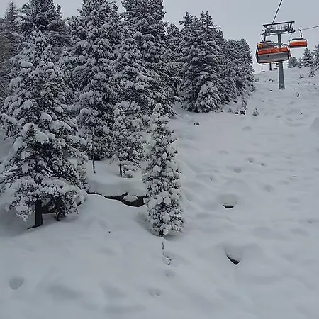 Alpin Am Kreischberg 3*